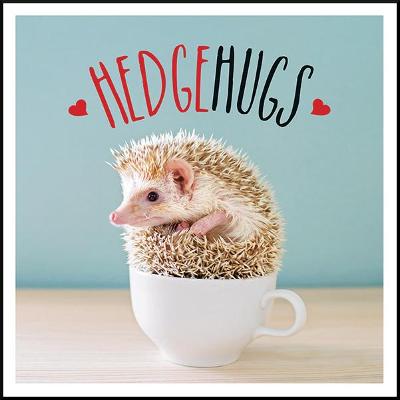 Book cover for Hedgehugs