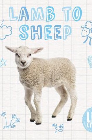 Cover of Lamb to Sheep