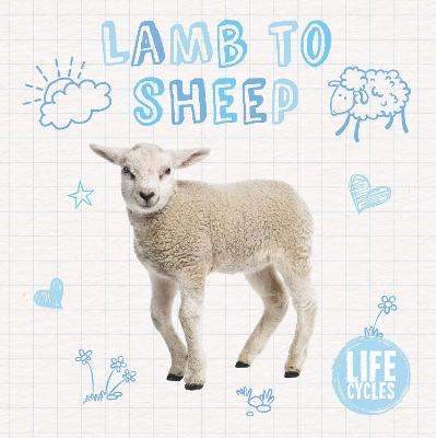 Book cover for Lamb to Sheep