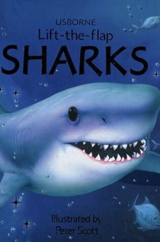 Cover of Sharks