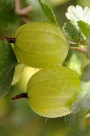 Cover of Gooseberries in the Garden Journal