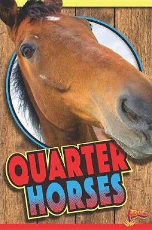 Cover of Quarter Horses