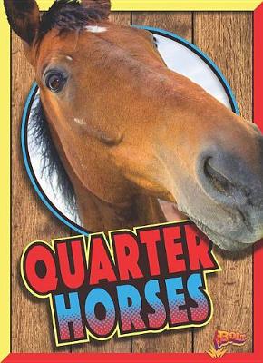 Book cover for Quarter Horses