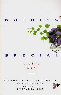 Book cover for Nothing Special