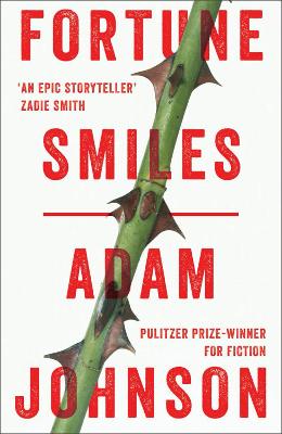Book cover for Fortune Smiles: Stories