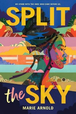 Book cover for Split the Sky