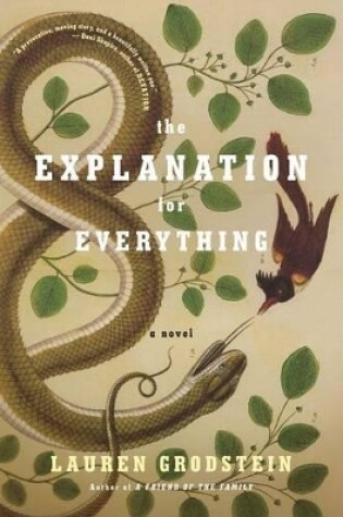 Cover of The Explanation for Everything