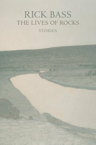 Cover of The Lives of Rocks
