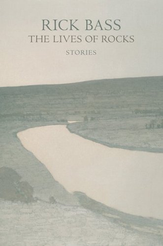 Book cover for The Lives of Rocks
