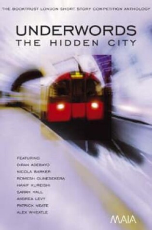 Cover of Underwords: The Hidden City