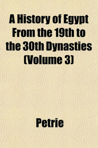 Cover of A History of Egypt from the 19th to the 30th Dynasties (Volume 3)