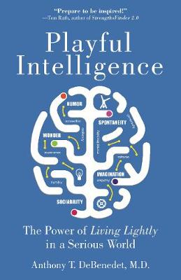 Book cover for Playful Intelligence