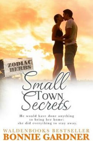 Cover of Small Town Secrets