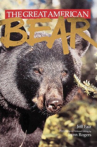 Cover of The Great American Bear