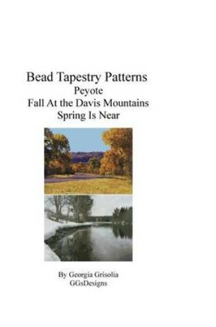 Cover of Bead Tapestry Patterns Peyote Fall at the davis mountains spring is near