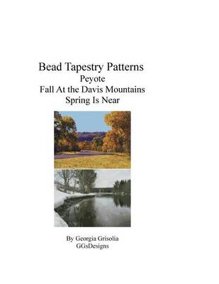 Book cover for Bead Tapestry Patterns Peyote Fall at the davis mountains spring is near