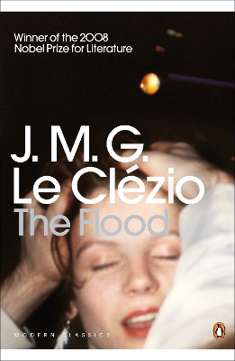 Book cover for The Flood