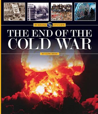 Book cover for The End of the Cold War