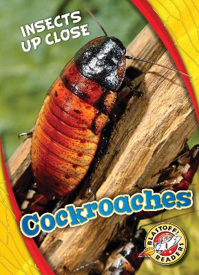 Book cover for Cockroaches