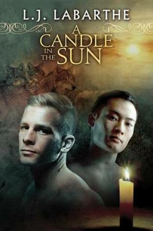 Cover of A Candle in the Sun
