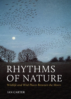 Book cover for Rhythms of Nature