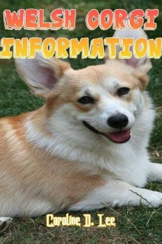 Cover of Welsh Corgi Information