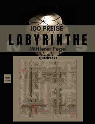 Book cover for 100 Labyrinth Preise