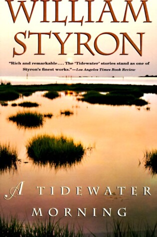 Cover of A Tidewater Morning