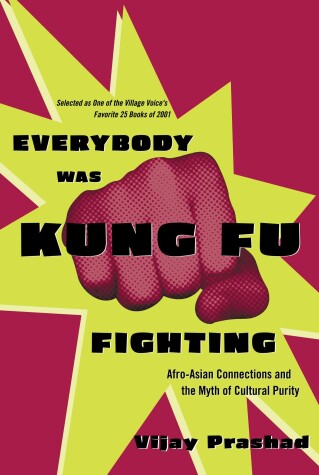 Book cover for Everybody Was Kung Fu Fighting