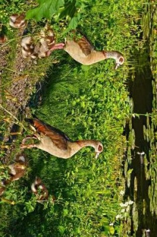 Cover of Egyptian Geese and Goose Goslings on the Shore Journal