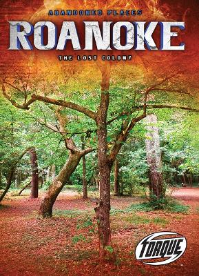 Book cover for Roanoke: The Lost Colony