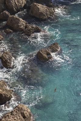 Cover of Waves on a Rocky Shore Journal