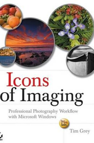 Cover of Icons of Imaging