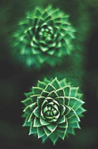 Cover of Succulent Plant Journal