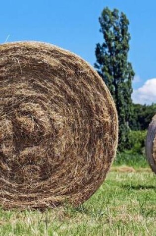 Cover of Hay Bales in the Field Journal