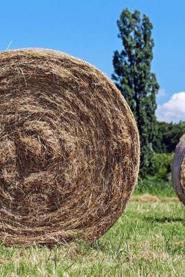 Book cover for Hay Bales in the Field Journal