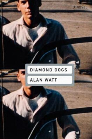 Cover of Diamond Dogs