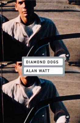 Book cover for Diamond Dogs