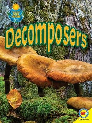 Book cover for Decomposers