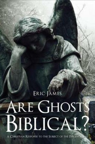 Cover of Are Ghosts Biblical?