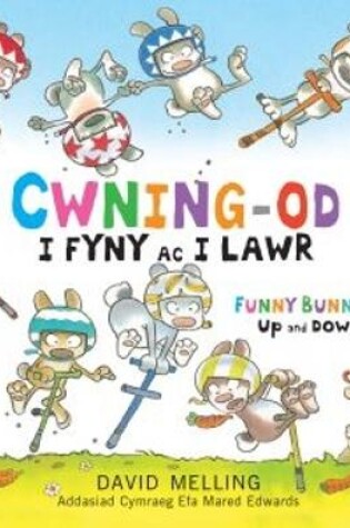 Cover of Cwning-Od - i Fyny ac i Lawr / Funny Bunnies - Up and Down