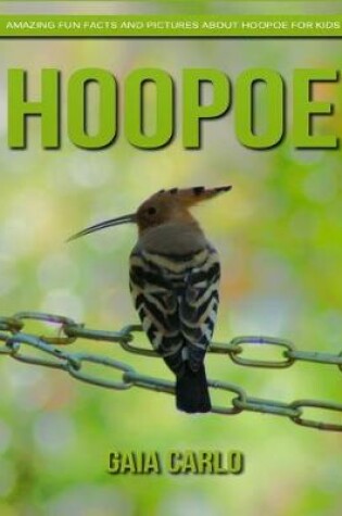 Cover of Hoopoe