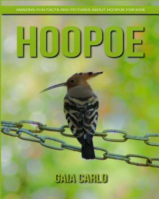 Book cover for Hoopoe