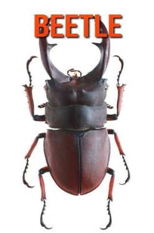 Cover of Beetle