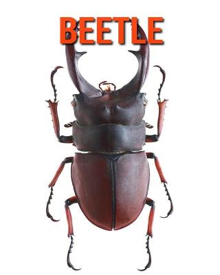 Book cover for Beetle