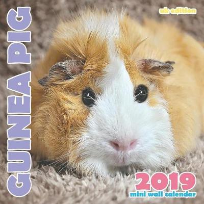 Book cover for Guinea Pig 2019 Mini Wall Calendar (UK Edition)