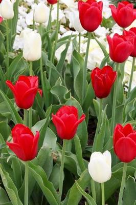 Book cover for Red and White Tulip Garden in Springtime Journal