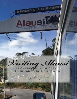 Book cover for Visiting Alausi