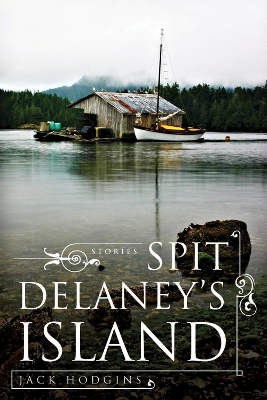 Book cover for Spit Delaney's Island