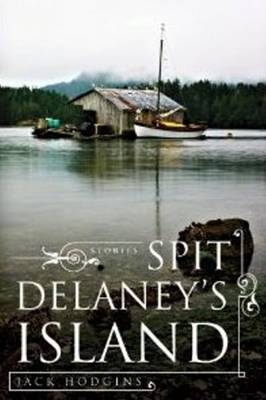Book cover for Spit Delaney's Island